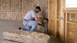 Best Crawl Space Insulation  in Richton Park, IL