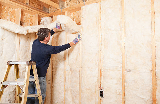  Richton Park, IL Insulation Services Pros