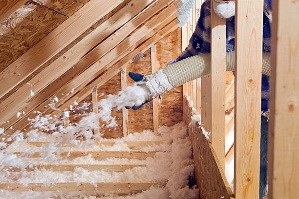 Best Attic Insulation Installation  in Richton Park, IL