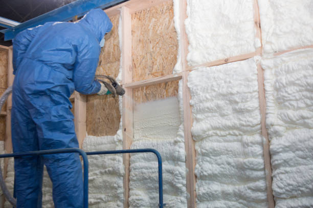 Best Insulation for New Construction  in Richton Park, IL